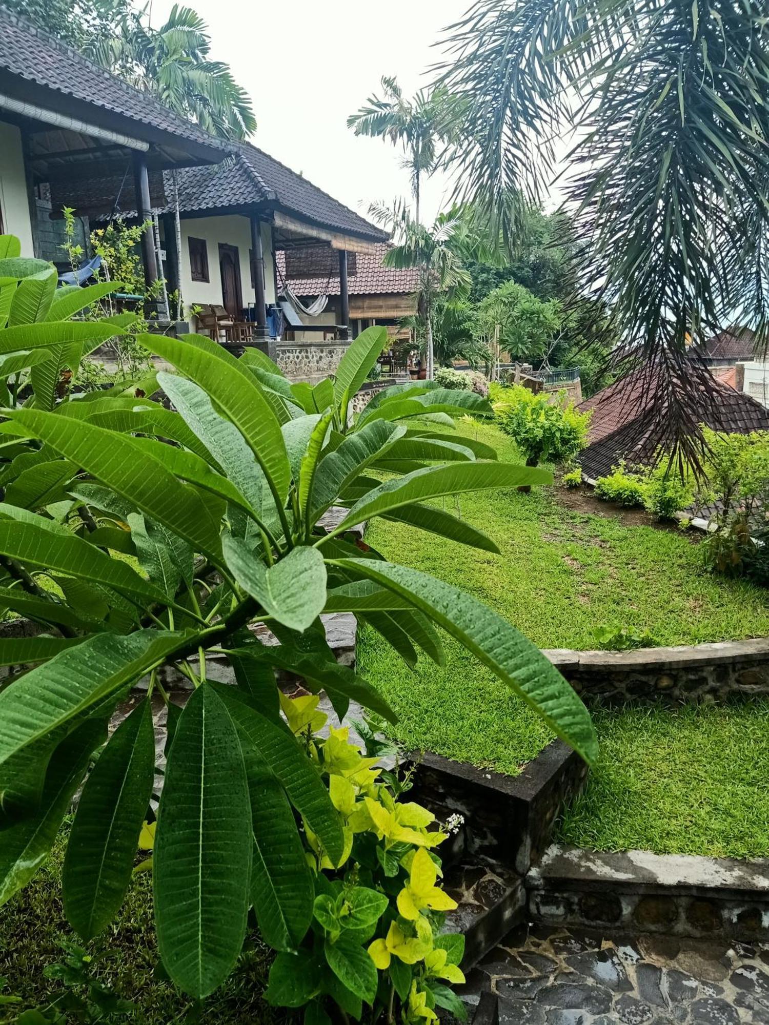 Bamboo Bali Apartment Amed  Bilik gambar