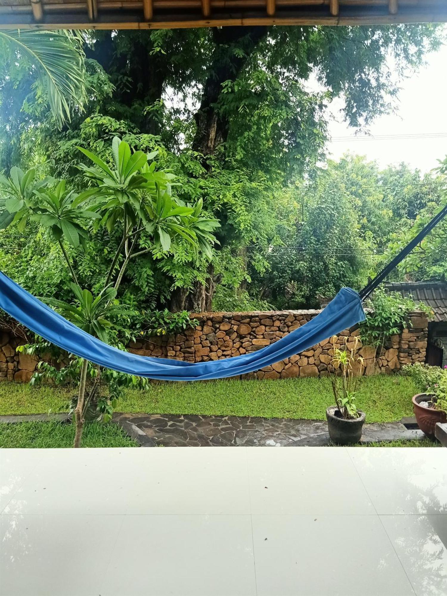 Bamboo Bali Apartment Amed  Bilik gambar